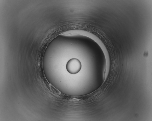 X0000111590701200908061350