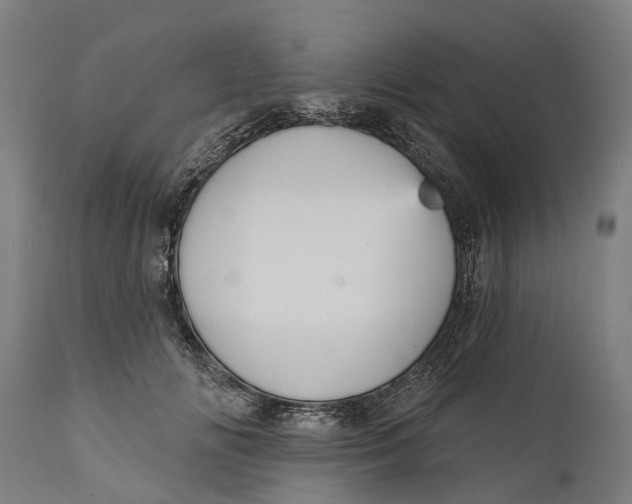 X0000111590702200908061350