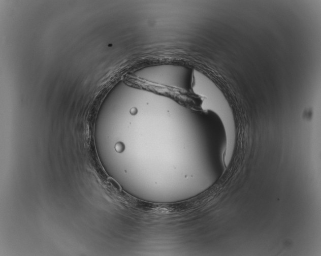 X0000111590704200908061350