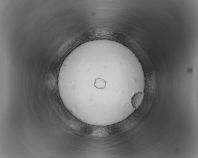 X0000111590705200908061350