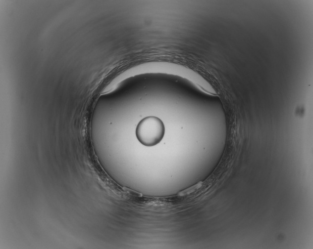 X0000111590708200908061349