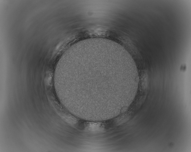 X0000111590709200908061349