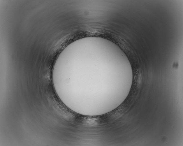 X0000111590710200908061349