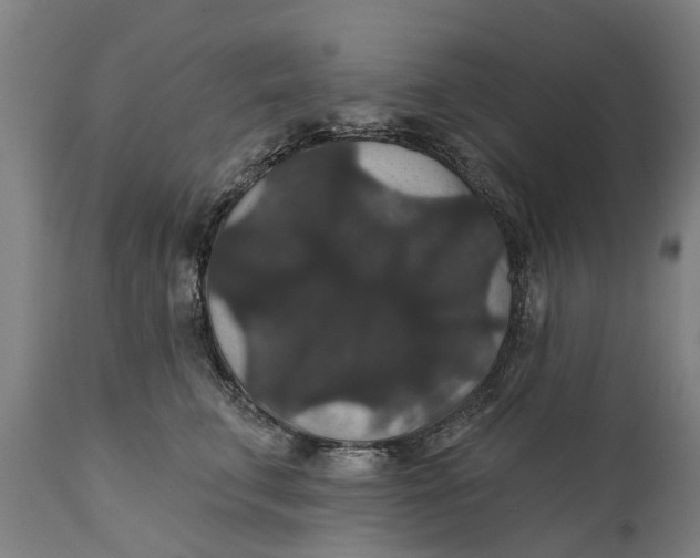 X0000111590711200908061349