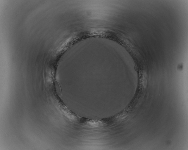 X0000111590712200908061349