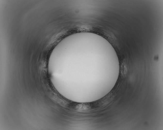 X0000111590714200908061349