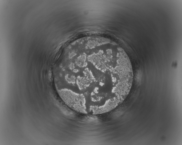 X0000111590715200908061349