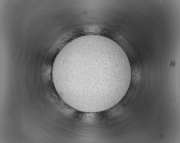 X0000111590717200908061349