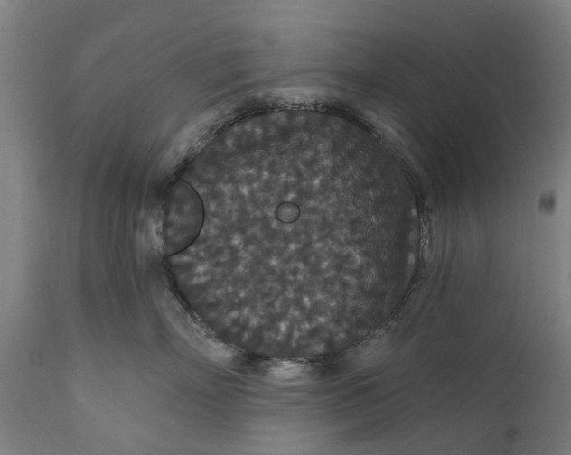 X0000111590718200908061349