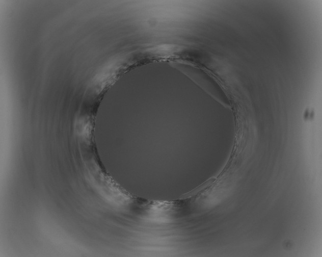 X0000111590720200908061349