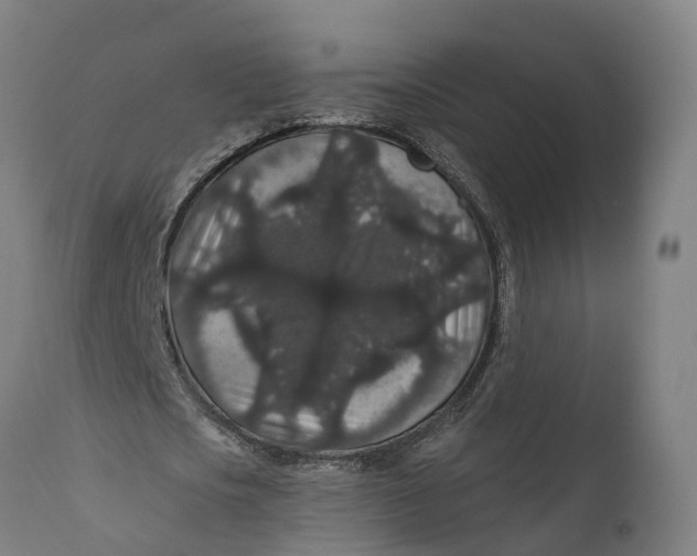 X0000111590721200908061348