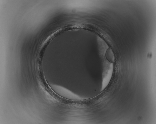 X0000111590722200908061348