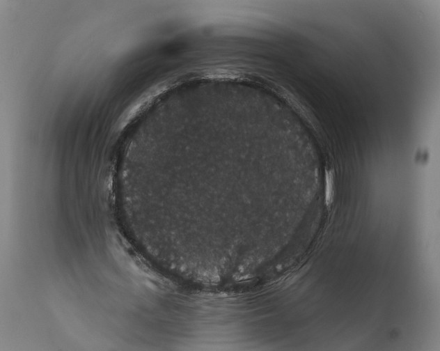 X0000111590723200908061349