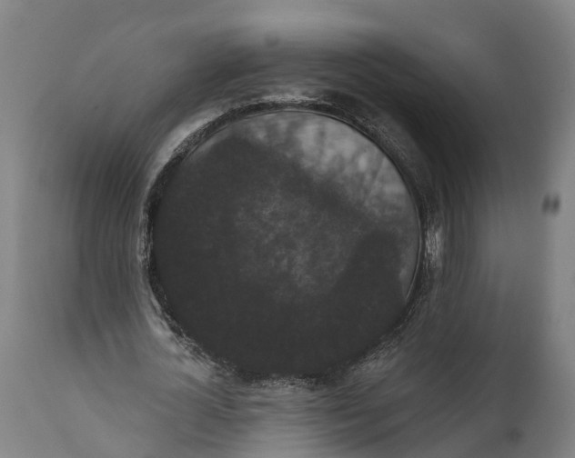 X0000111590724200908061349