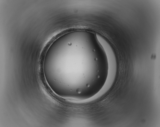 X0000111590726200908061349