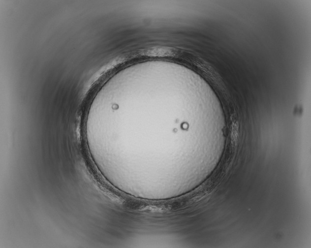 X0000111590727200908061349