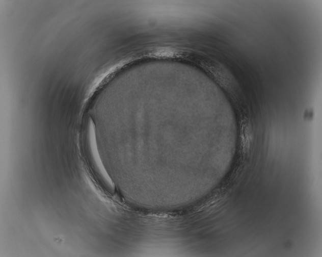 X0000111590728200908061349