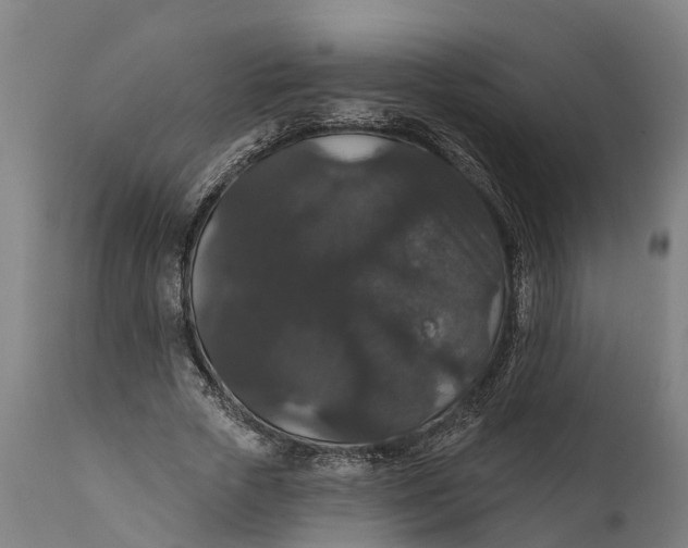 X0000111590729200908061349