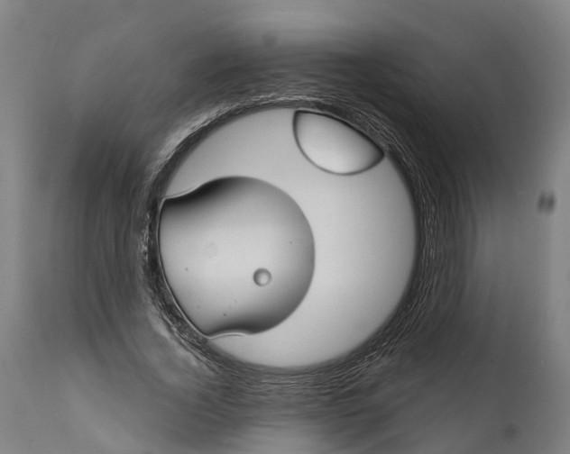 X0000111590732200908061349