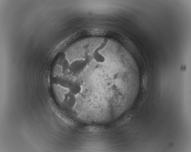 X0000111590733200908061349