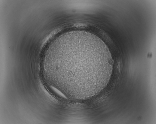 X0000111590734200908061349