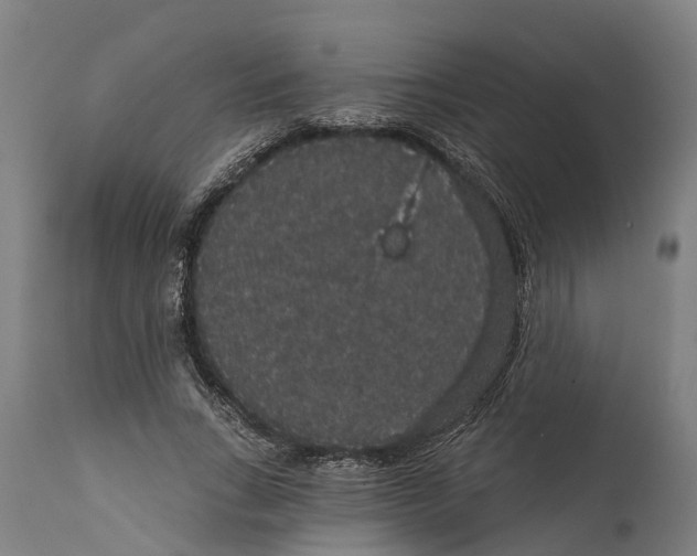 X0000111590735200908061349