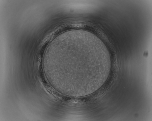 X0000111590736200908061349