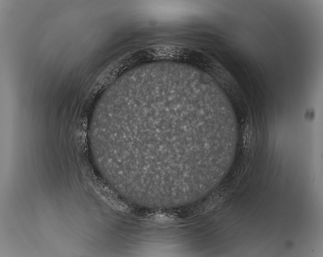 X0000111590737200908061349