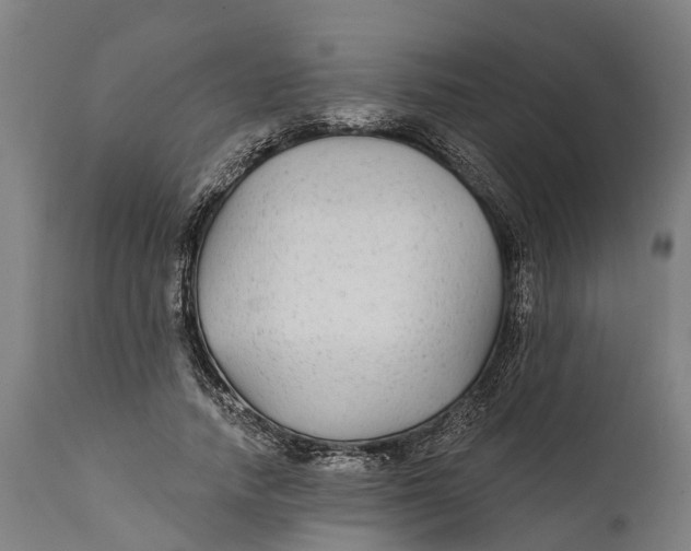 X0000111590738200908061349