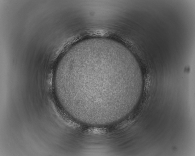 X0000111590739200908061349