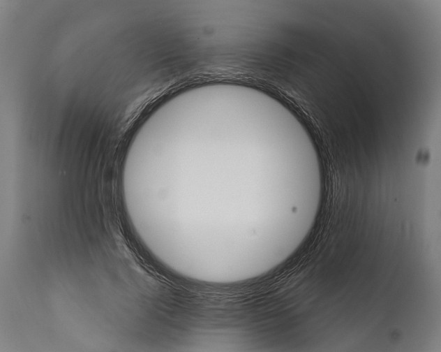 X0000111590740200908061349