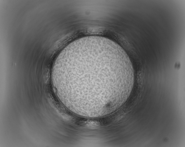 X0000111590741200908061349