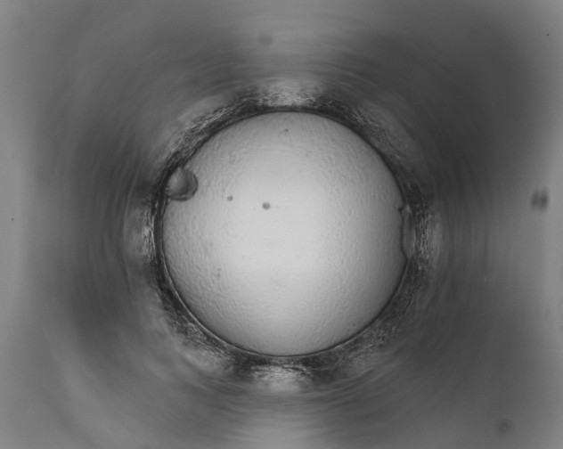 X0000111590743200908061349