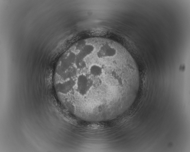 X0000111590745200908061349