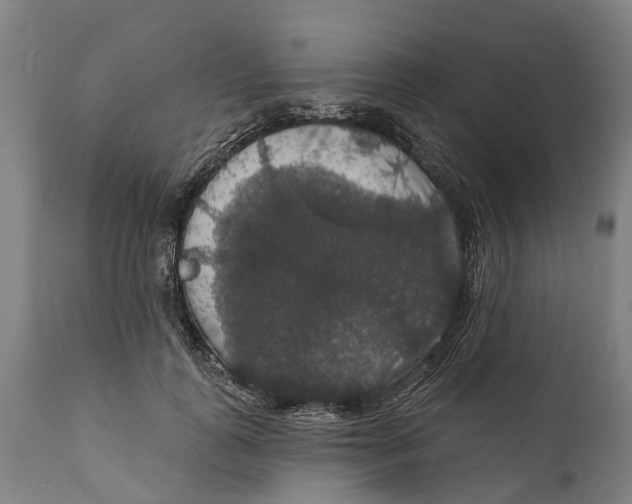 X0000111590747200908061349