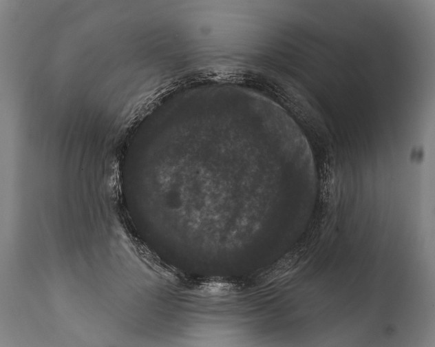 X0000111590748200908061349