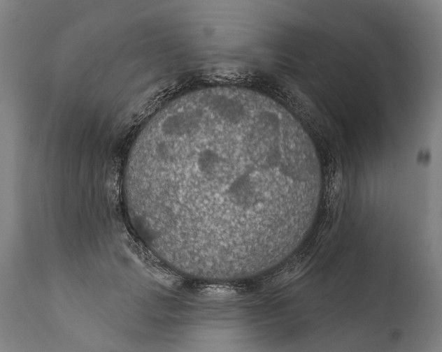 X0000111590749200908061349