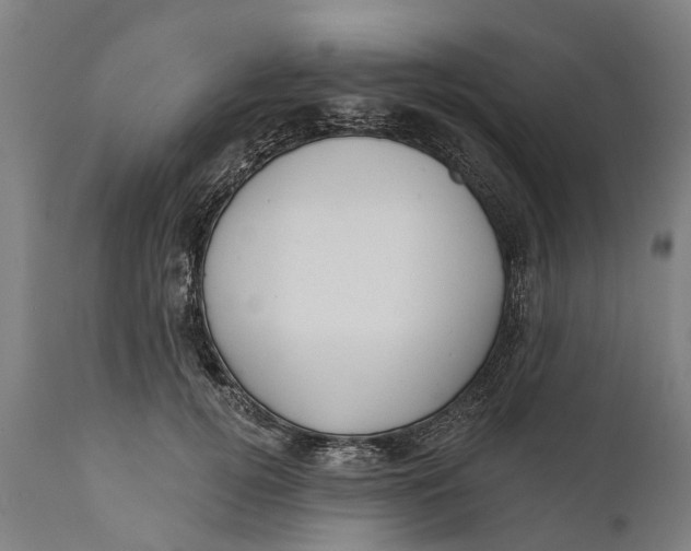 X0000111590752200908061349