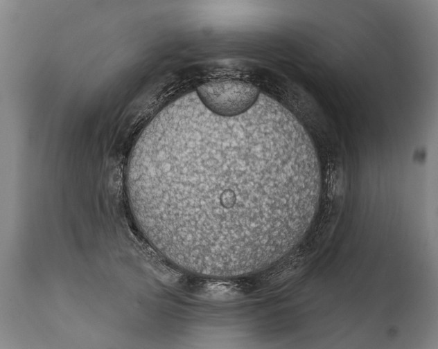 X0000111590753200908061349