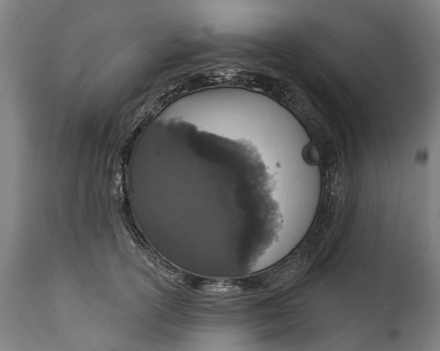 X0000111590754200908061349