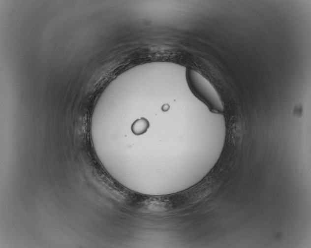 X0000111590756200908061349