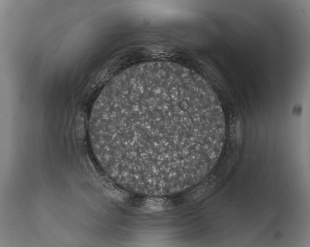 X0000111590757200908061349