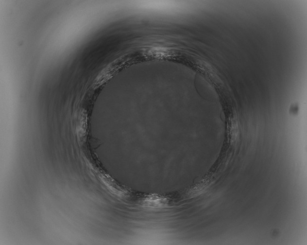 X0000111590760200908061349