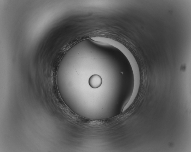 X0000111590762200908061349