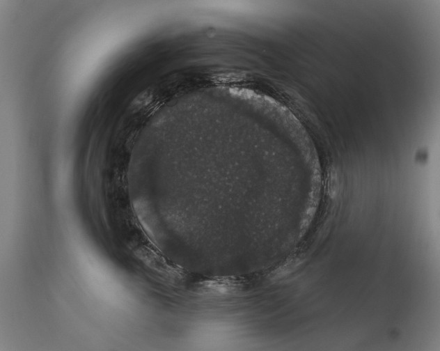 X0000111590763200908061349