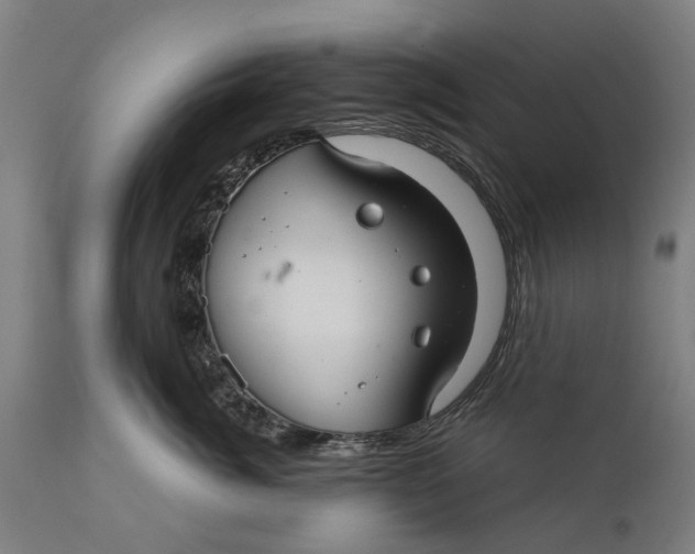 X0000111590764200908061349