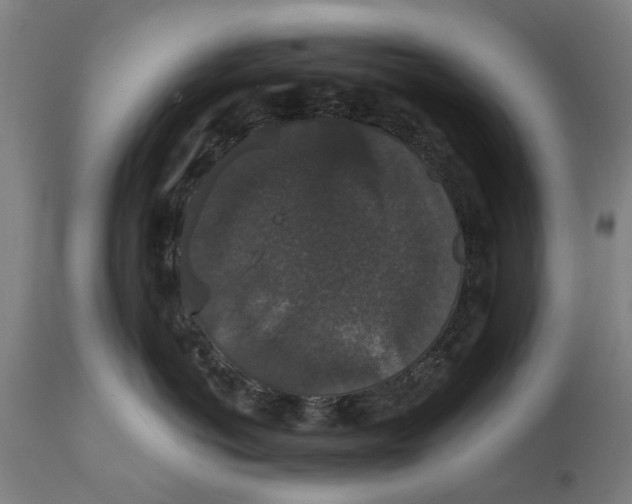 X0000111590766200908061349