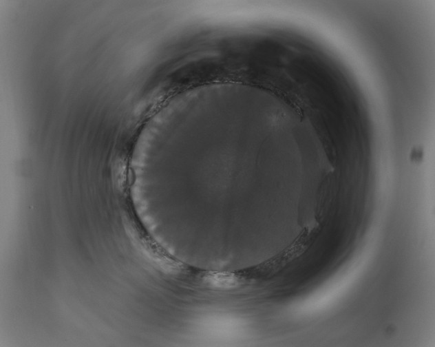 X0000111590767200908061349