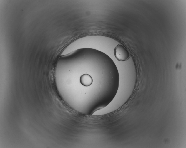 X0000111590768200908061349