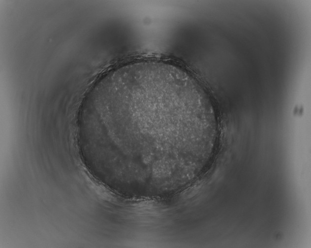 X0000111590769200908061348